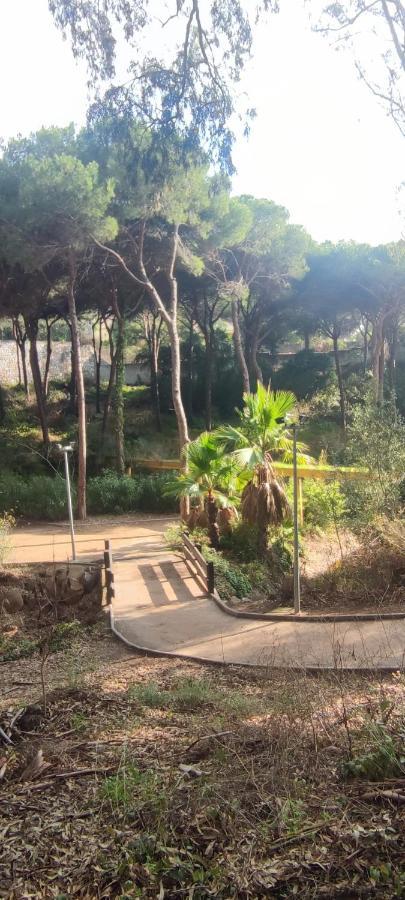 Beach Forest Paradise Marbella Exteriér fotografie